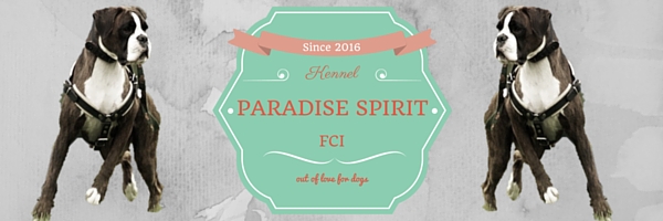 Paradise Spirit FCI